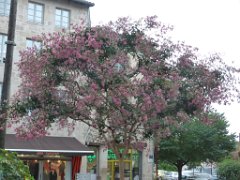 Visite St Junien (23)
